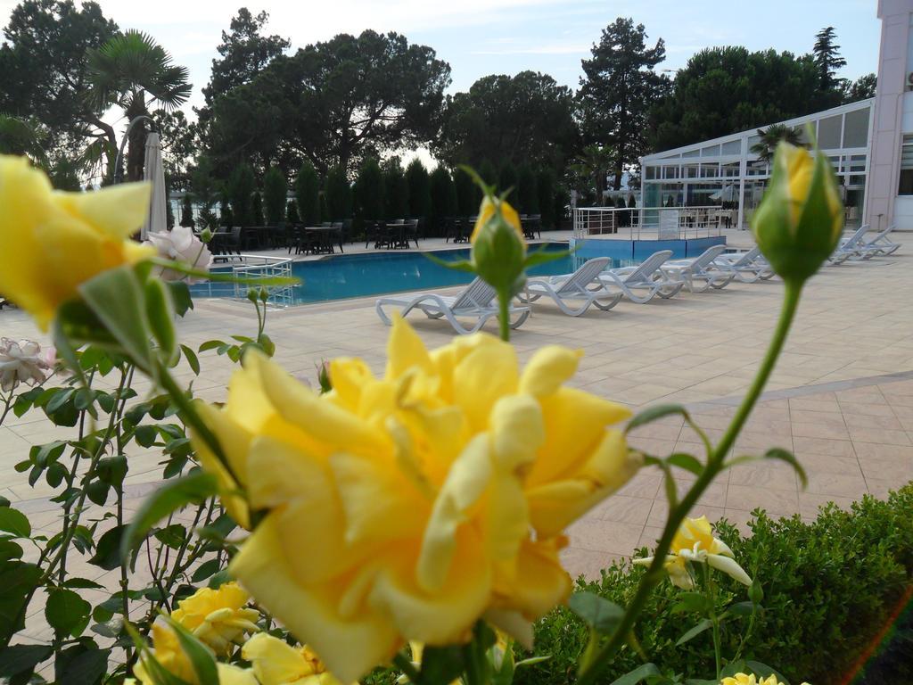 Grand Nicea Hotel Iznik Bilik gambar