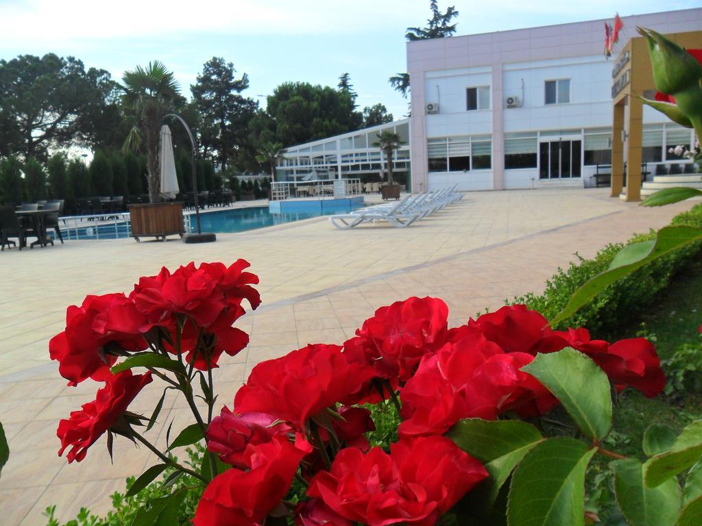 Grand Nicea Hotel Iznik Bilik gambar
